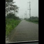 所沢市三ヶ島洪水