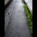 埼玉県入間市大雨中撮影
