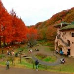 ムーミン谷～飯能市　あけぼの子どもの森公園～