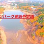【JAPAN DRONE】紅葉に染まる　埼玉県　飯能市　宮沢湖（miyazawa lake）