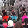 桜＊style (B★SMILE(BALLEST)＠市民文化フェア 所沢市観光ショーケース) 2017.4.9