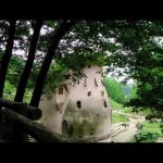 あけぼの子どもの森公園 | 飯能市 | 埼玉県