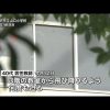 「今すぐ窓から飛び降りろ」埼玉県所沢市で教師が小4児童に暴言や暴行