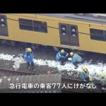埼玉・飯能市の踏切で電車と衝突、車の男性が重体
