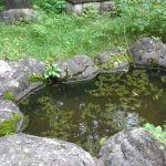 埼玉県所沢市 玉湖神社(心霊スポットなのかは、不明)