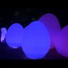 2018年12月7日　飯能市宮沢湖「メッツァ」へ　ライトアップ チームラボ「森と湖の光の祭」を見に
