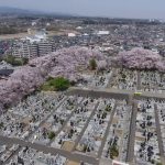 【ドローン空撮事例6：BGM付】埼玉県入間市にてお寺と桜を撮影